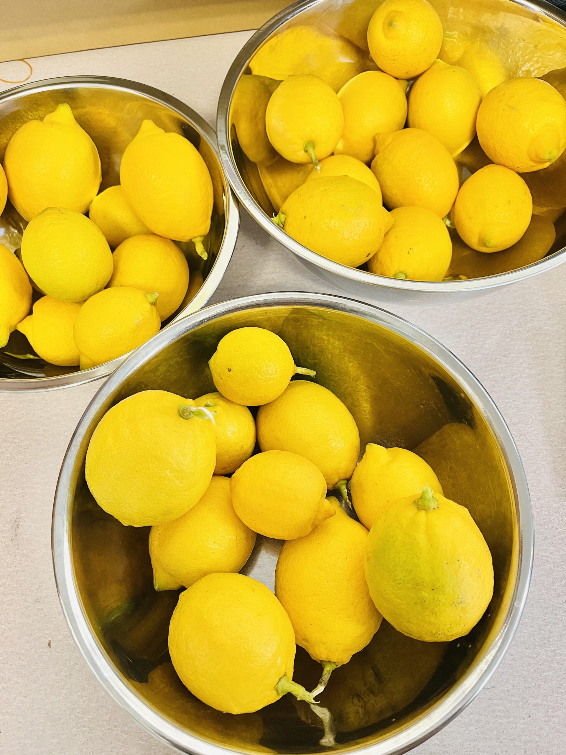 中2校内でのレモン収穫