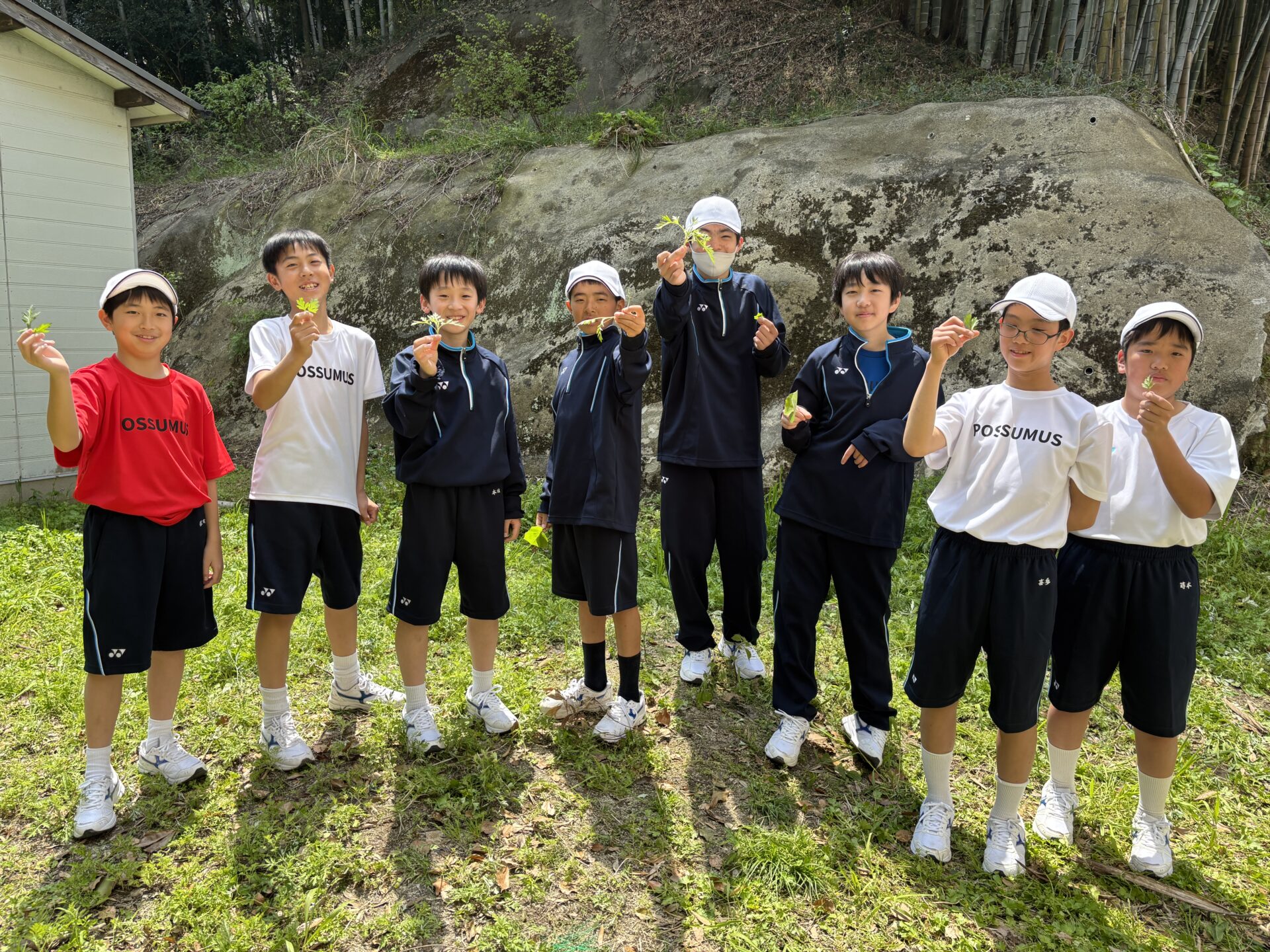 中１家庭科「よもぎ収穫」